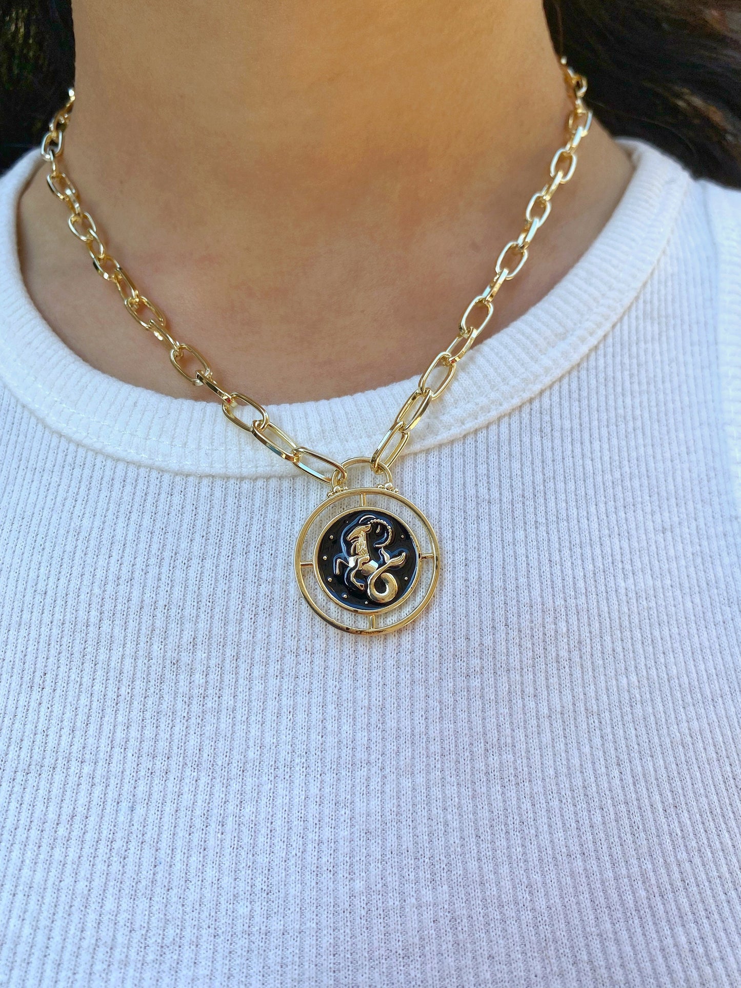 Capricorn Zodiac Sign Medallion Coin Necklace • Rising Star Moon