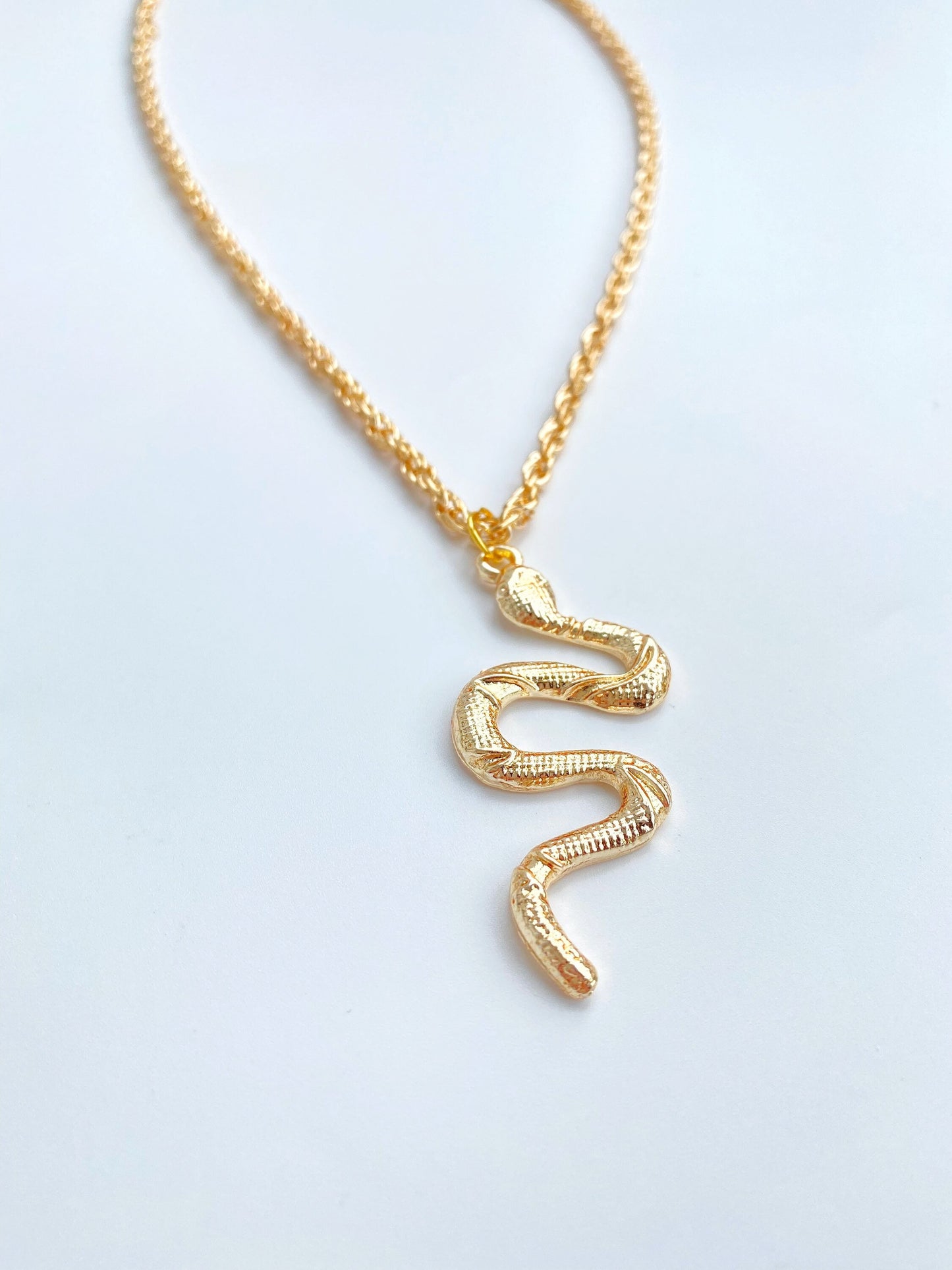 Snake Curb Rope Chain Necklace • Gold Silver Unisex Dangle